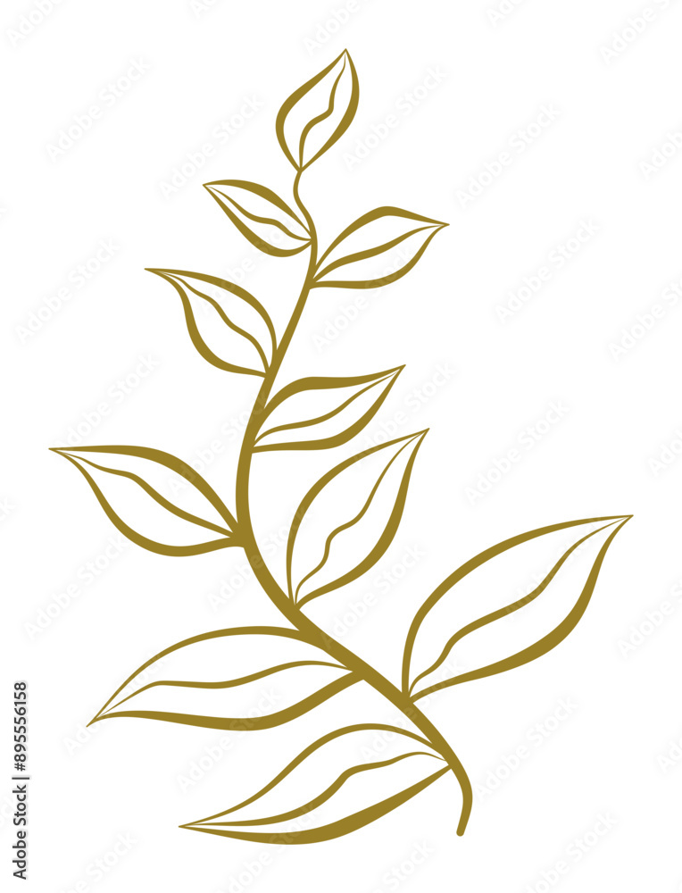 botanical floral line element for wedding card design botanical floral line element for wedding card design