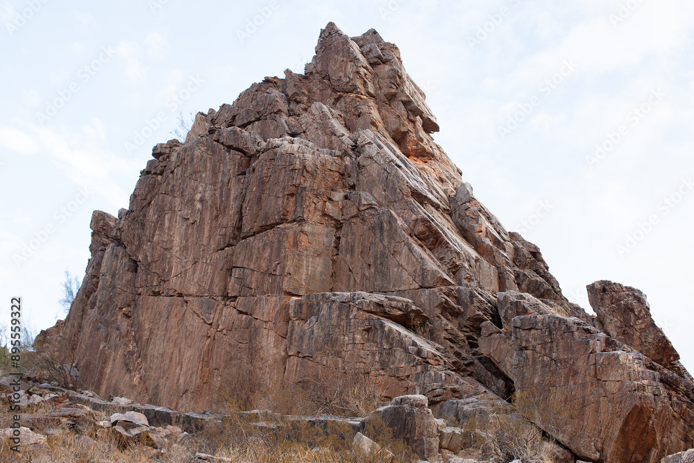Fototapeta premium Landscape detail view within the Phoenix Mountains
