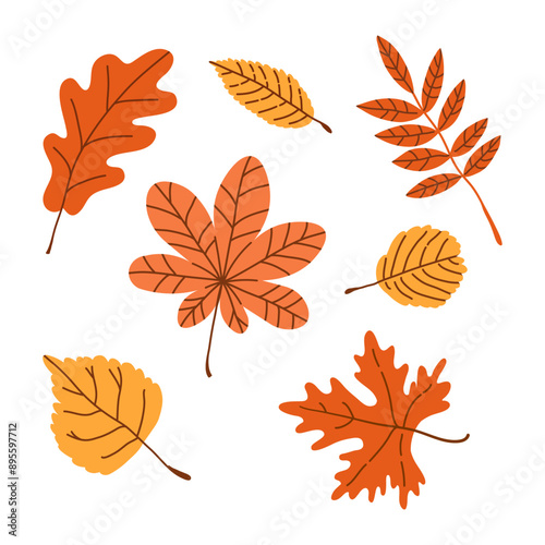 Set of autumn leaves maple, oak, birch, sycamore in various shapes and colors. Textured fall forest elements. Vector hand drawn kit illustration isolated on white background.