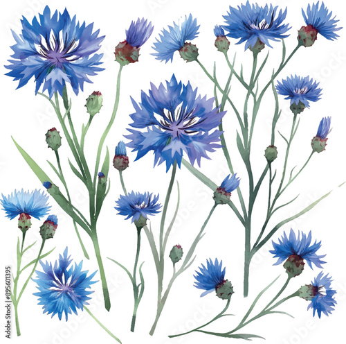 blue cornflowers set design