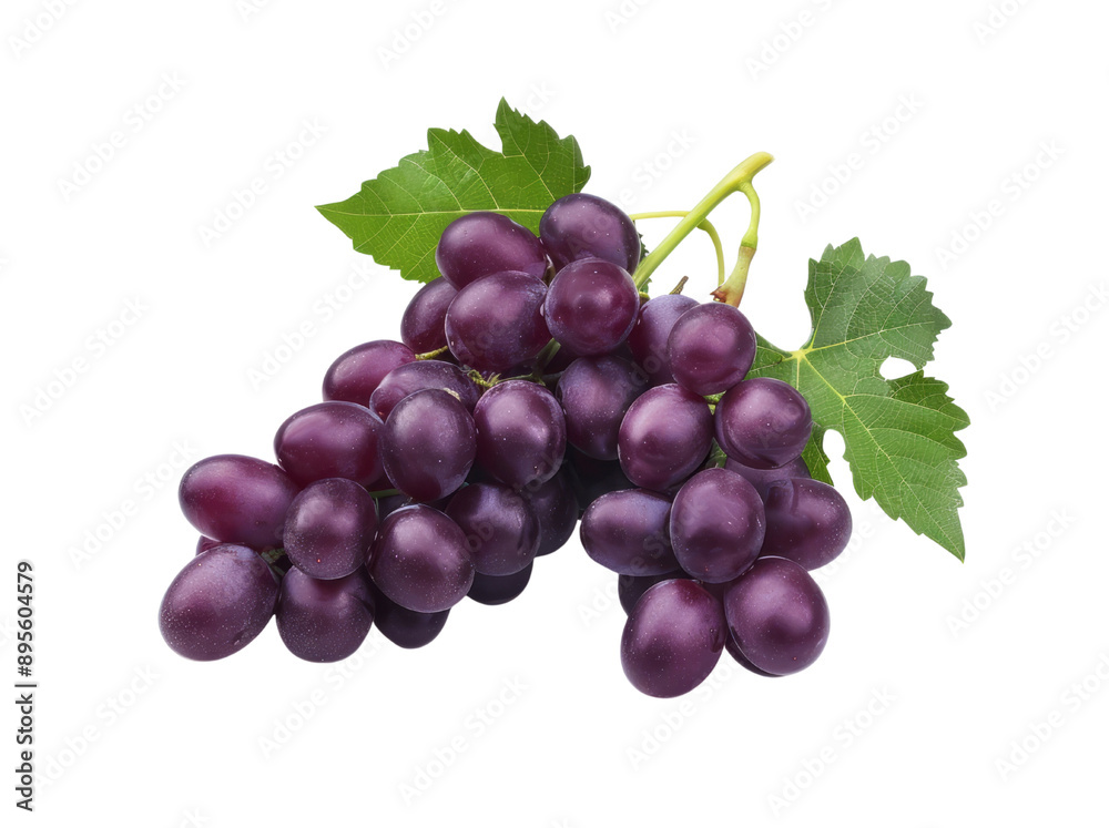 A bunch of grapes on a transparent background for commercial use. A bunch of grapes on a transparent background for commercial use.