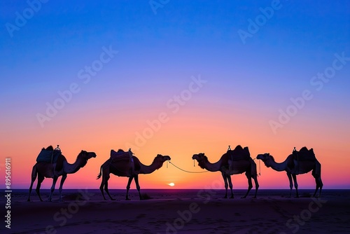 beautiful silhouette of camels in desert 