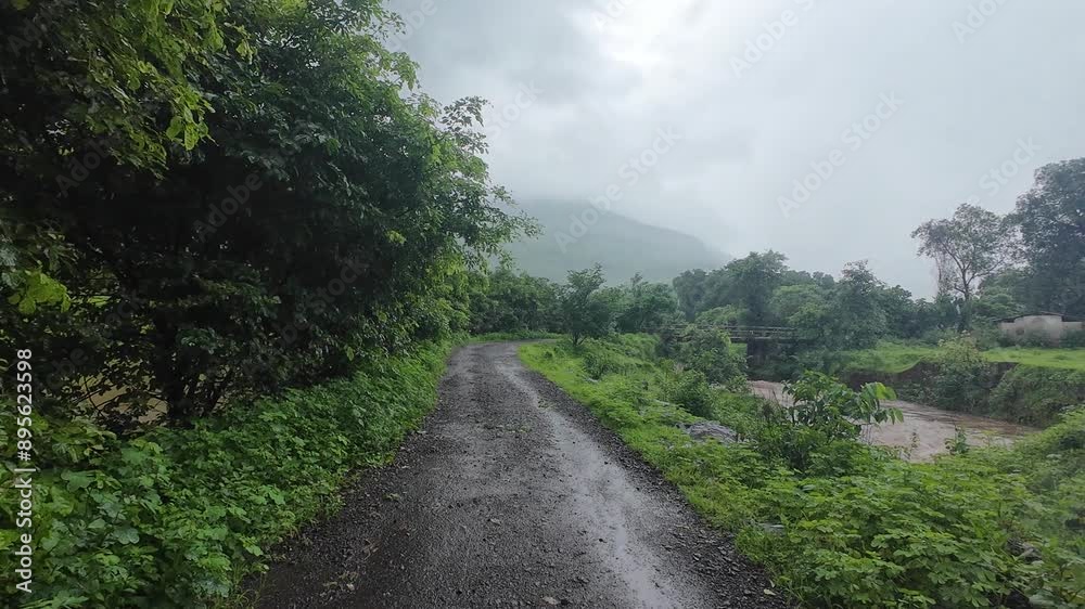 A winding path through lush green forest with trees on both sides, rain falling in the background. A winding path through lush green forest with trees on both sides, rain falling in the background.