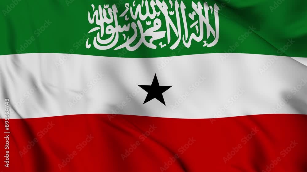 A beautiful view of the Somaliland flag video. 3d flag-waving video. Somaliland flag 4K resolution. A beautiful view of the Somaliland flag video. 3d flag-waving video. Somaliland flag 4K resolution.