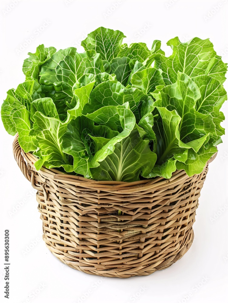 Fresh lettuce in a basket, separated on a plain white backdrop. Fresh lettuce in a basket, separated on a plain white backdrop.