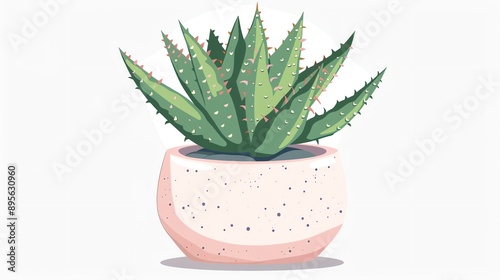 a clipart of a Succulent plant with colorful rosette leavesin a kawaii style, simplified to feature fewer elements for a cleaner look, Use a color palette that is appealing to children, photo