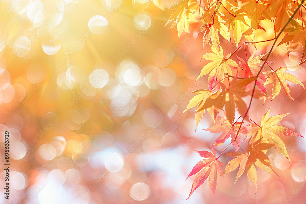 autumn leaves background autumn theme, soft focus light, bokeh effect autumn leaves background autumn theme, soft focus light, bokeh effect