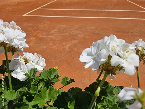 fiori e terra rossa su campo da tennis