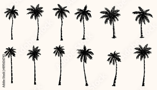 palm tree vector summer tropical palms for bohemian art palm leaf logo or minimalist palm tree silhouette palem tree svg vector logo
