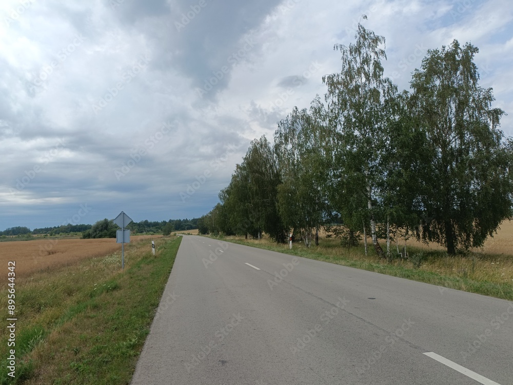 Aviacijos street in Siauliai. Empty street in suburbs. Sunny day with white and gray clouds in sky. Summer season. Aviacijos gatve Siauliuose. Aviacijos street in Siauliai. Empty street in suburbs. Sunny day with white and gray clouds in sky. Summer season. Aviacijos gatve Siauliuose.