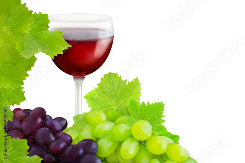 Rotwein Weintrauben Weinblätter Hintergrund transparent PNG cut out  Vine grapes and leaves photo