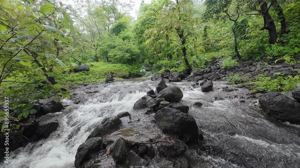Serene Forest Stream with Flowing Water and Lush Greenery Serene Forest Stream with Flowing Water and Lush Greenery