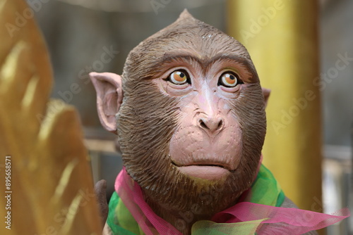 Photography close up of a monkey face
