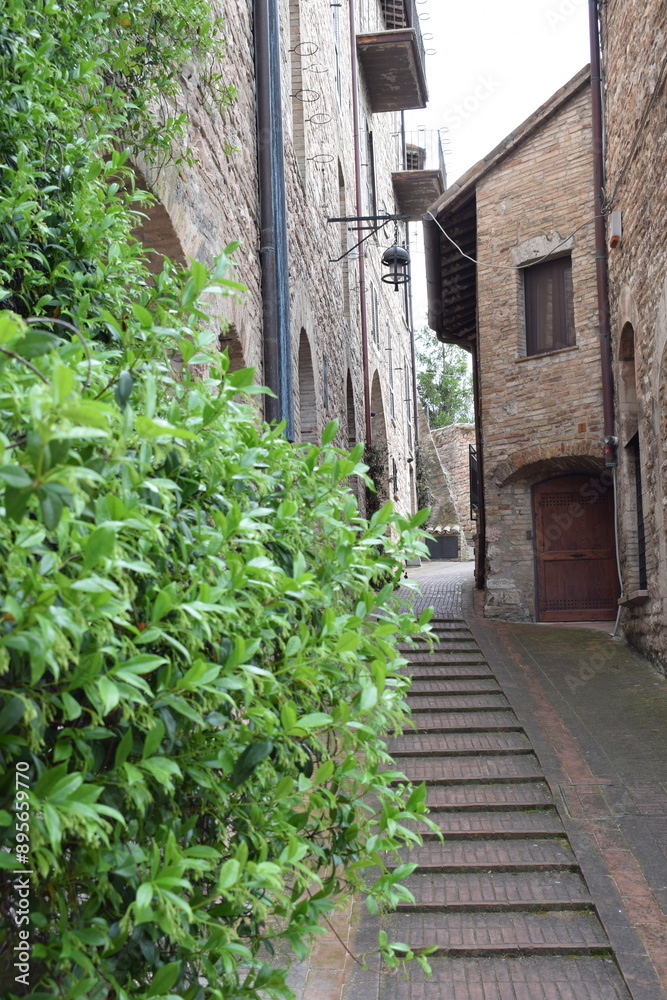 Assisi Assisi