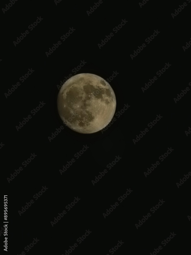 Moon Moon
