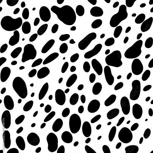 Classic black and white cow skin seamless vector pattern. Seamless pattern features a classic black and white dalmatian print.