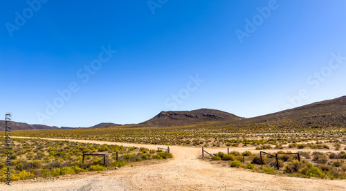 Arid landscape in the Namaqualand region of South Africa