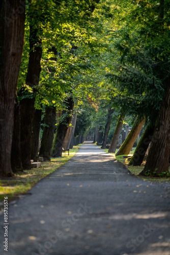 Ondrejsky cemetery in Bratislava (National Cultural Monument)