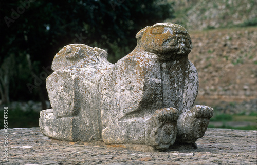 Jaguar, Panthera onca, Site indien Maya, Uxmal, Yucatan, Mexique photo