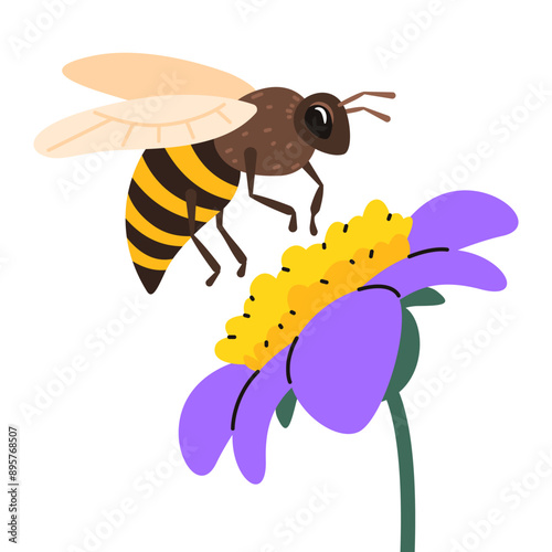 Honey bee collect pollen from flower. Vector illustration.