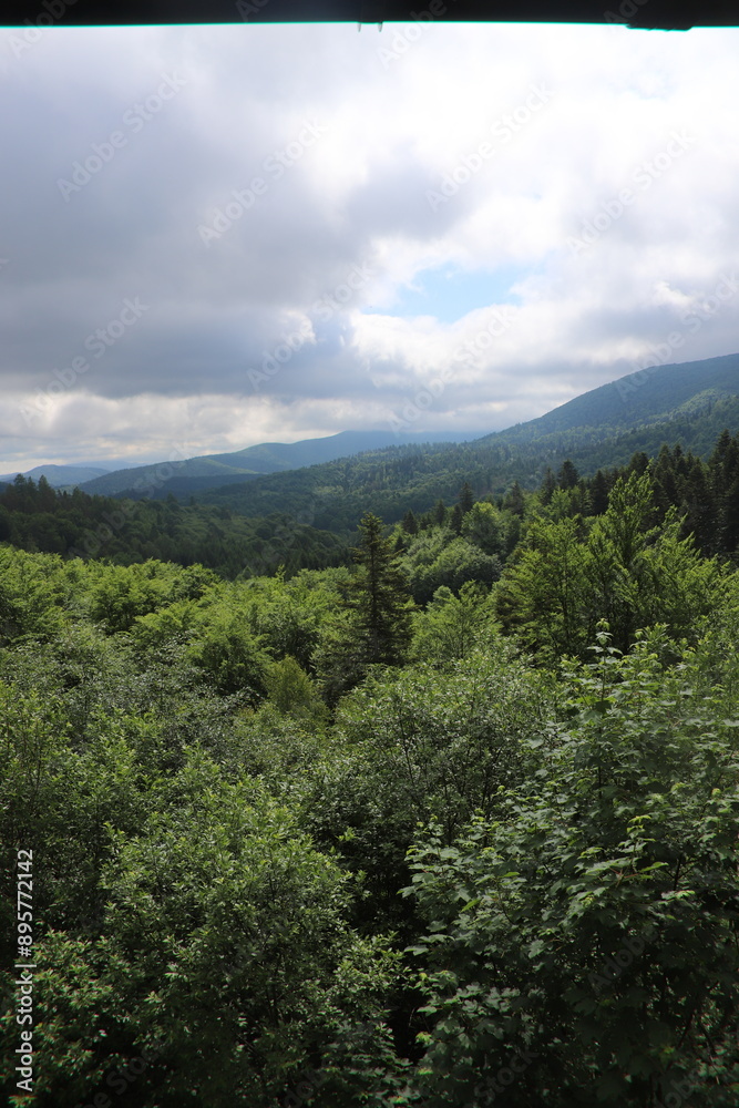 view of the mountains from the observation tower in Szczerbanówka in the Bieszczady Mountains in Poland view of the mountains from the observation tower in Szczerbanówka in the Bieszczady Mountains in Poland