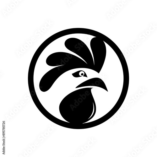 cock Vector