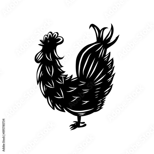 cock Vector