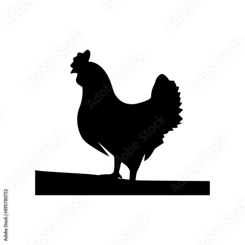 cock Vector