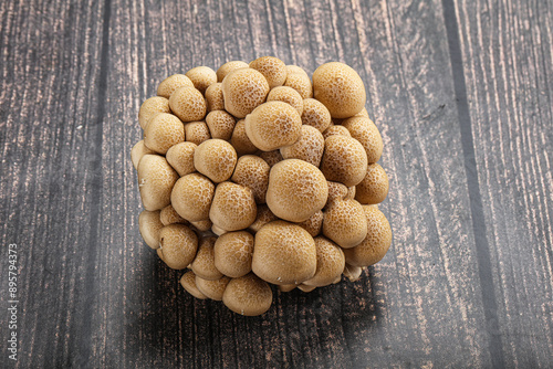 Raw asiam delicacy mushroom Shimeji photo