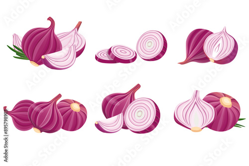 Vector fresh red onion on white. Vector illustration.