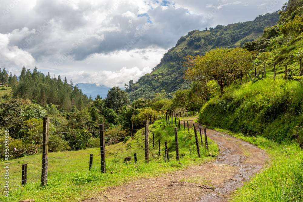 Path in the Andes Mountains, lush forest, green vegetation. Jardin, Jardín, Antioquia, Colombia. Mototaxi. Path in the Andes Mountains, lush forest, green vegetation. Jardin, Jardín, Antioquia, Colombia. Mototaxi.