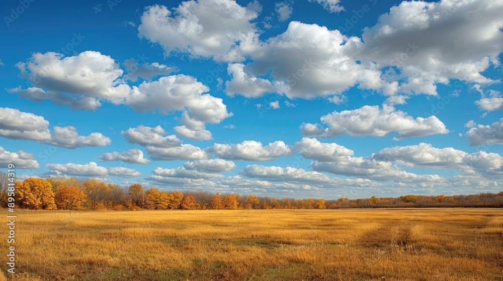 A wide expanse of golden hued field meets a distant treeline where autumn s touch is revealed under a vast sky decorated with soft clouds A wide expanse of golden hued field meets a distant treeline where autumn s touch is revealed under a vast sky decorated with soft clouds