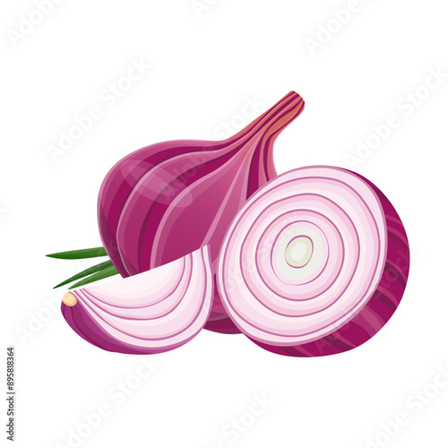 Vector fresh red onion on white. Vector illustration.