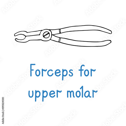 Forceps For Upper Molar - hand drawn dental instrument