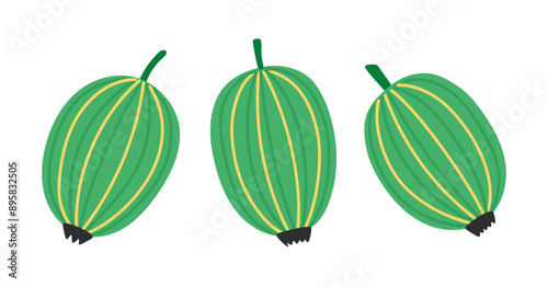 Gooseberry set. Fresh summer juicy berry. Flat Vector illustration isolated on white background