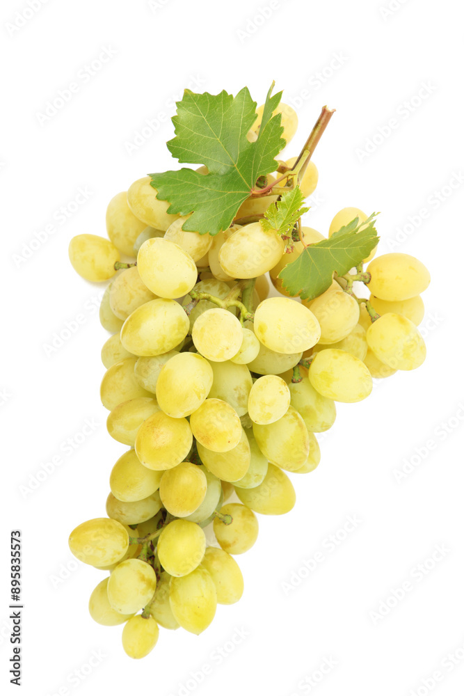 Shine muscat grape isolated on white background. Top view Shine muscat grape isolated on white background. Top view