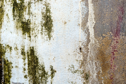 Old rusty metal surface with green moss. photo