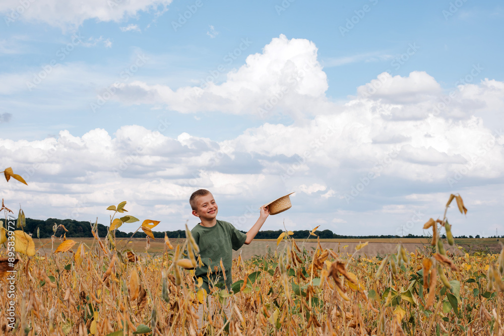 A school-age boy in the soybean field. Controlling the growth of agricultural crops. Yellow soy with beans. Front view A school-age boy in the soybean field. Controlling the growth of agricultural crops. Yellow soy with beans. Front view