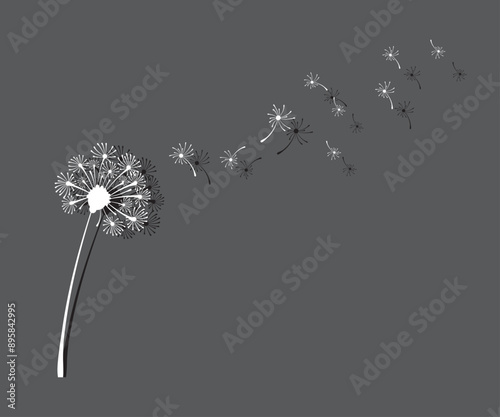 White dandelion seeds blowing in the wind. nature illustration. flying flower.