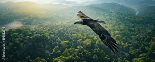 Majestic eagle soaring over lush green forest with mountains in the background, capturing the beauty of nature and wildlife. photo