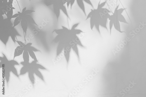 PNG Shadows of leaves on wall