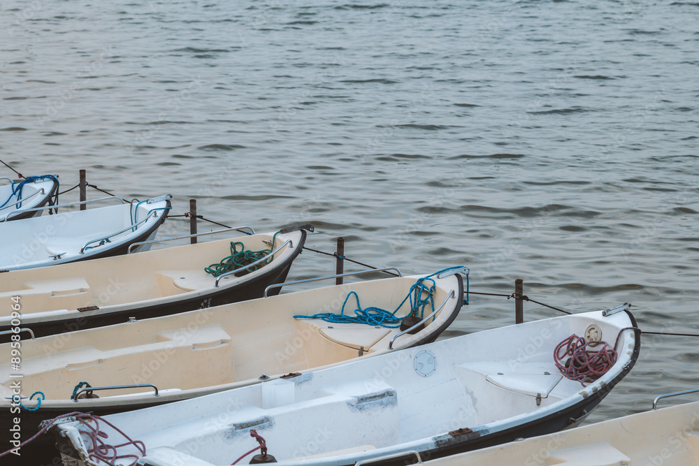 A row of empty boats moored on the lake.