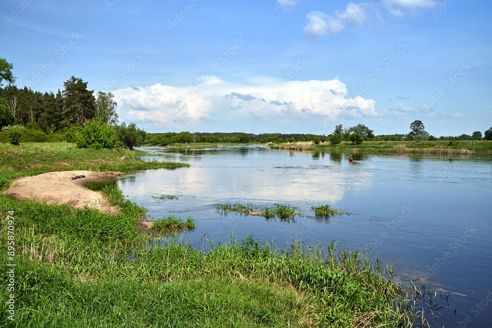meadow, pastures and floodplain of the Warta River in summer meadow, pastures and floodplain of the Warta River in summer