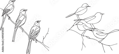 A collection of ink drawings depicting birds. Different species, continuous lines.