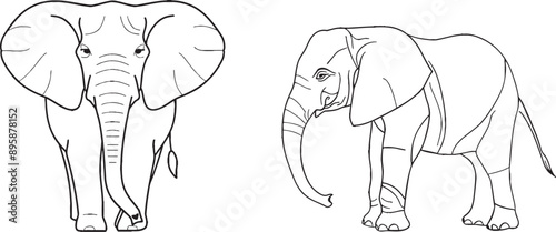 Single line art of standing elephant walking. Modern illustration of an elephant in all its glory. photo