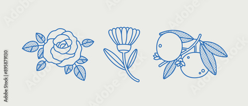Hand-drawn vector set. Line art, retro. Plants and herbs for cosmetics. Rose, calendula, mandarin.