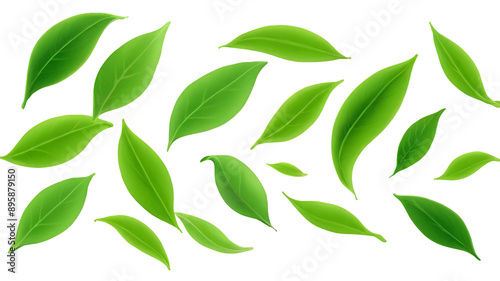 Green tea leaf isolated on transparent background