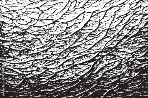 Elegant Black And White Overlay Texture Versatile Monochrome Illustration