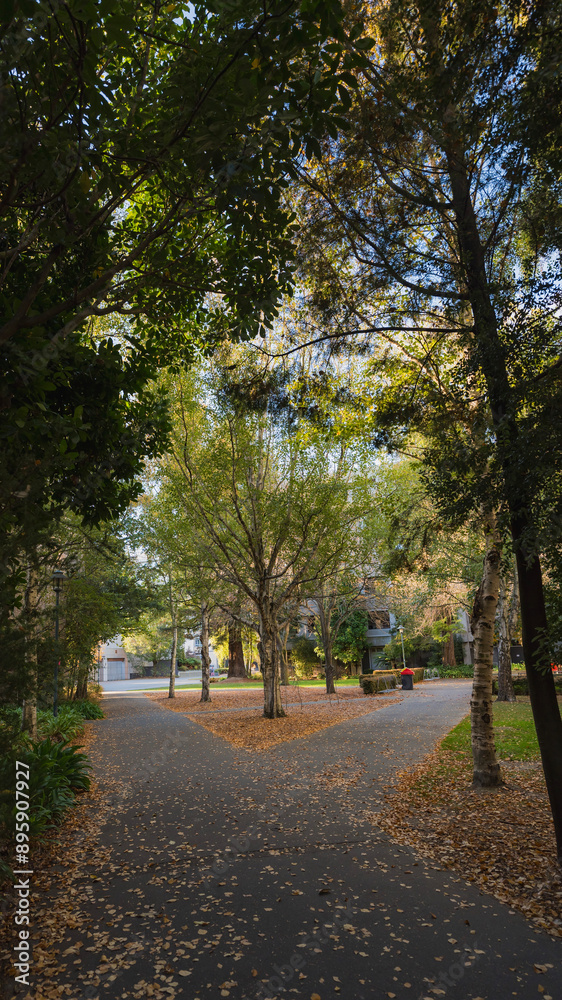 Naklejka premium autumn in the park