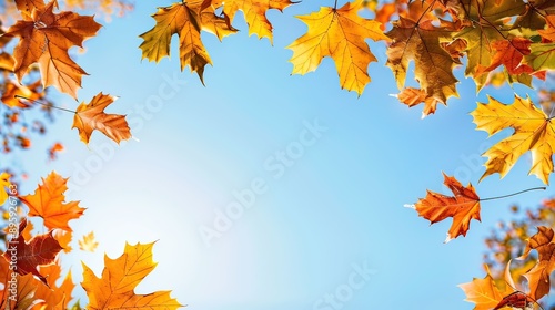Autumn Leaves Against Blue Sky